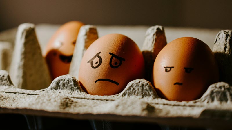 Villes desservies en Ontario
Kingston
Ottawa
Cornwall

... ou votre ville
Villes desservies au Québec
Gatineau
Aylmer
... ou votre ville